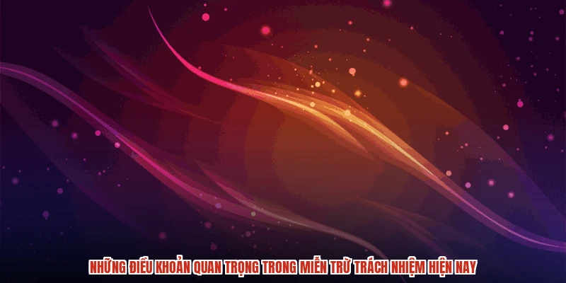 Những điều khoản quan trọng trong miễn trừ trách nhiệm hiện nay Những điều khoản quan trọng trong miễn trừ trách nhiệm hiện nay